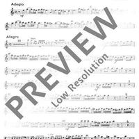 Concerto A minor - Flute Ii/treble Recorder Ii