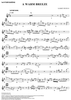 A Warm Breeze - Tenor Saxophone 2