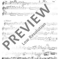 VI. Concert in G minor - Violin I