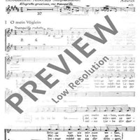 Spanisches Liederspiel - Soprano / Alto