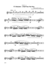 Dancin' Into The '20s: IV. Hunkatin - A Half Tone One-Step - Flute 2