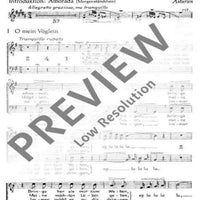 Spanisches Liederspiel - Tenor / Bass