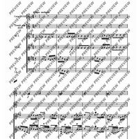 Concerto G-Dur in G major - Score
