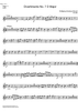 Divertimento No. 7 D Major KV205 - D Horn