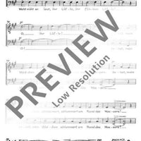 Spanisches Liederspiel - Tenor / Bass