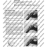 Moderne Blockflötentechnik