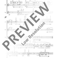 dull roots & spring rain - Performing Score