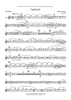 Capriccio, Op. 170 - Flute 3