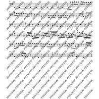 Concerto E Minor - Set of Parts