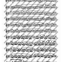24 Virtuoso Studies