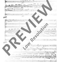 Concerto d minor - Score