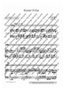 Concerto D Major - Piano Reduction