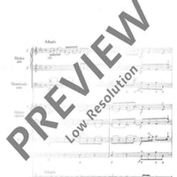 Concerto grosso G Minor - Score