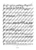 Duet No. 3 D major