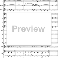 Belly Roll (The Boy in the Tree) - Conductor's Score