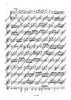 Duet No. 3 D major