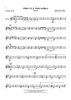 136th U.S.A. Field Artillery  (March) - Bb Trumpet 4