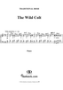 The Wild Colt