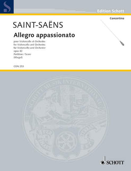 Allegro appassionato in B minor - Score
