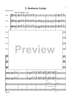 Water Critters - A Suite for String Orchestra and Optional Percussion - Score