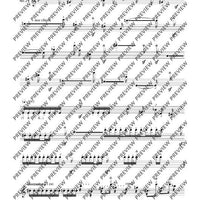 The Flute Expedition