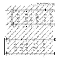 Die Nacht ist kommen