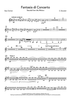 Fantasia di Concerto - Bass Clarinet