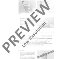 The Modern Recorder Player