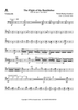 The Flight of the Bumblebee from the opera "Tsar Sultan" - Cello