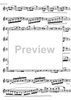 Preliminary studies to 'The Accomplished Clarinettist' Vol. 2 - Clarinet