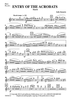Entry of the Acrobats - Flute / Piccolo