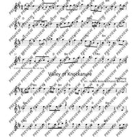 The Irish Flute Book