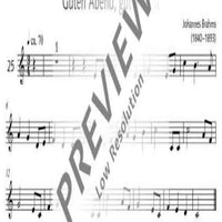 Guten Abend, gut' Nacht