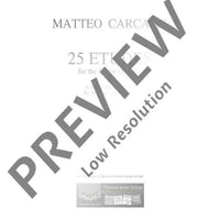 25 Melodic and Progressive Studies