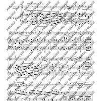 Grand Duo concertant