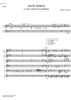 Suite Danica - Score