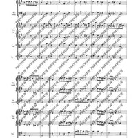 Concerto grosso E minor - Full Score
