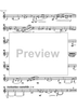 Concerto - Bass Clarinet