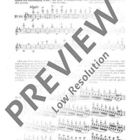 100 Technical Paraphrases on Kreutzer-Etudes