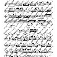 100 Technical Paraphrases on Kreutzer-Etudes