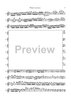 Double Concerto for Recorder and Flute in E minor - Flauto Traverso (Flute)