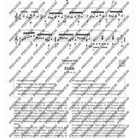 100 Classical and Romantical Études