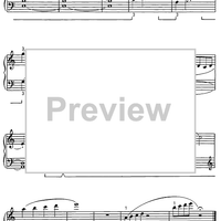 Garden Pools in Kyoto