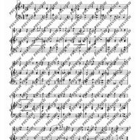 In the Rhythm of the Baroque