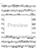 Eclipse - Bass Recorder