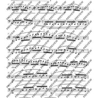 12 Etudes-Caprices caractéristiques