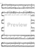 An der Schönen Blauen Donau Op.314