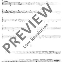 Concerto No. 2 C major - Violin I