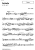 Quintetto Op.91 - Flute