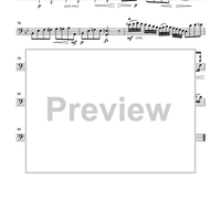 Cello Accompaniments - Volume 3